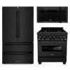 ZLINE Kitchen And Bath 3-Piece Kitchen Packages ZLINE Kitchen Package With Black Stainless Steel Refrigeration, 30 In. Dual Fuel Range And 30 In. Traditional Over The Range Microwave (3KPR-RABOTRH30)