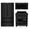 ZLINE Kitchen And Bath ZLINE Kitchen Package With Black Stainless Steel Refrigeration, 30 In. Gas Range And 30 In. Traditional Over The Range Microwave (3KPR-RGBOTRH30) 3-Piece Kitchen Packages