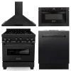 ZLINE Kitchen And Bath 4-Piece Kitchen Packages ZLINE 30 In. Kitchen Package With Black Stainless Steel Gas Range, Range Hood, Microwave Drawer And Dishwasher(4KP-RGBRH30-MWDW)