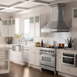 ZLINE Kitchen And Bath Shop By Brand ZLINE Designer Series Wall Mount Range Hood In DuraSnow Stainless Steel With Mirror Accents (655MR)