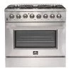 Forno Galiano Gold Professional- 36 In. 5.36 Cu. Ft. Freestanding Dual Fuel Range With Gas Stove And Electric Oven In Stainless Steel (FFSGS6156-36) Shop By Brand