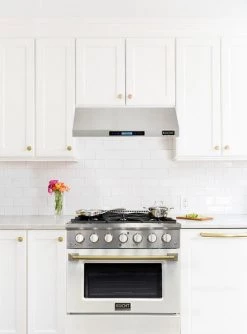 Kucht 30 In. 4.2 Cu. Ft. Professional All Gas Range In Stainless Steel With White Door And Accents (KNG301-W) Shop By Brand