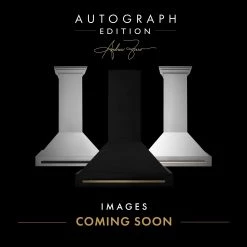 ZLINE Kitchen And Bath ZLINE 48 In. Autograph Edition Stainless Steel Range Hood With Stainless Steel Shell And Accented Handle (8654STZ-48)