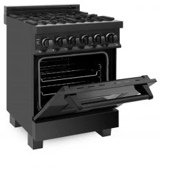 ZLINE Kitchen And Bath ZLINE 24 In. Professional Dual Fuel Range In Black Stainless Steel (RAB-24)