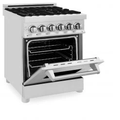 ZLINE Kitchen And Bath ZLINE 24 In. Professional Dual Fuel Range With Color Door Options (RA24)