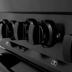 ZLINE Kitchen And Bath ZLINE 30 In. 4.0 Cu. Ft. Range With Gas Stove And Gas Oven In Black Stainless Steel (RGB-30)