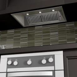 ZLINE Kitchen And Bath ZLINE Ducted Wall Mount Range Hood Insert In Outdoor Approved Stainless Steel (721-304)