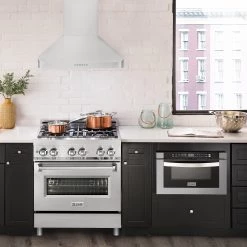 ZLINE Kitchen And Bath ZLINE Alpine Series Ducted Wall Mount Range Hood In Stainless Steel (ALP100WL)