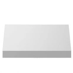 ZLINE Kitchen And Bath ZLINE Convertible Vent Under Cabinet Range Hood In Stainless Steel (523) Shop By Brand