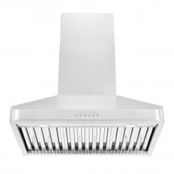 ZLINE Kitchen And Bath ZLINE Alpine Series Ducted Wall Mount Range Hood In Stainless Steel (ALP100WL)