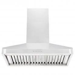 ZLINE Kitchen And Bath ZLINE Alpine Series Ducted Wall Mount Range Hood In Stainless Steel (ALP100WL)